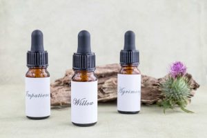 Bachblütentherapie